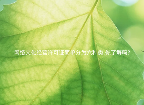 网络文化经营许可证简单分为六种类,你了解吗?